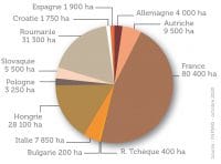 France Hongrie Roumanie 3 acteurs semenciers de l'UE