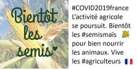 tweet de la campagne de semis de maïs du lundi 30 mars