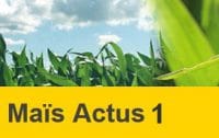 maïs actus 1 avril 2018