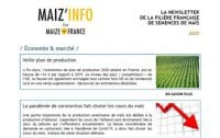 Maiz'Info avril 2020