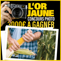 concours-photo-or-jaune