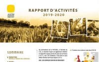 rapport activités maïs semence 2020